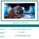 مراحل-اخذ-رتبه-انفورماتیک