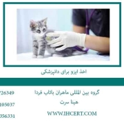 اخذ-ایزو-برای-دانپزشکی