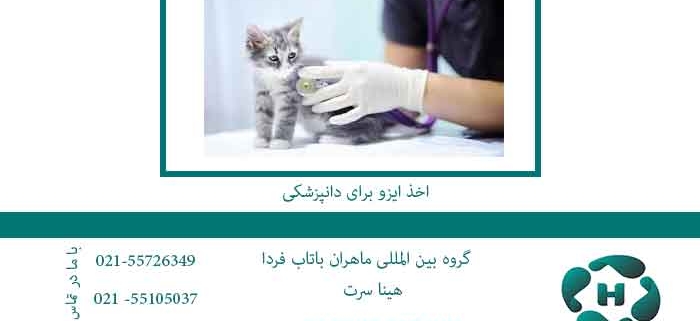 اخذ-ایزو-برای-دانپزشکی