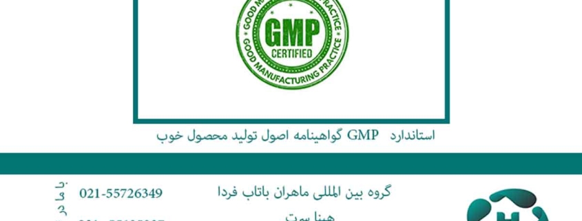 GMP 1